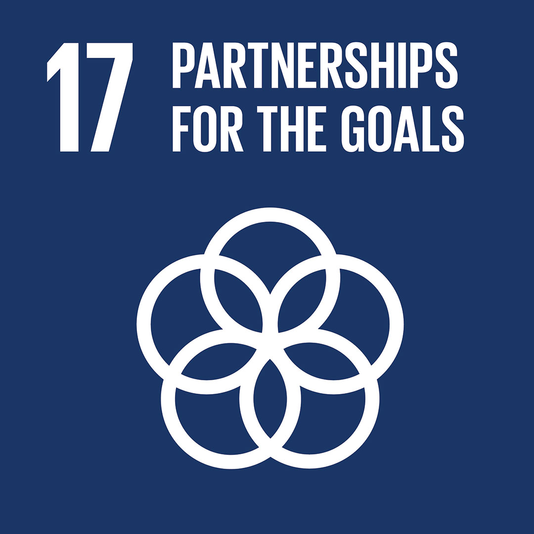 SDG 3