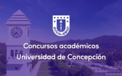 formatos-web-soche-udec